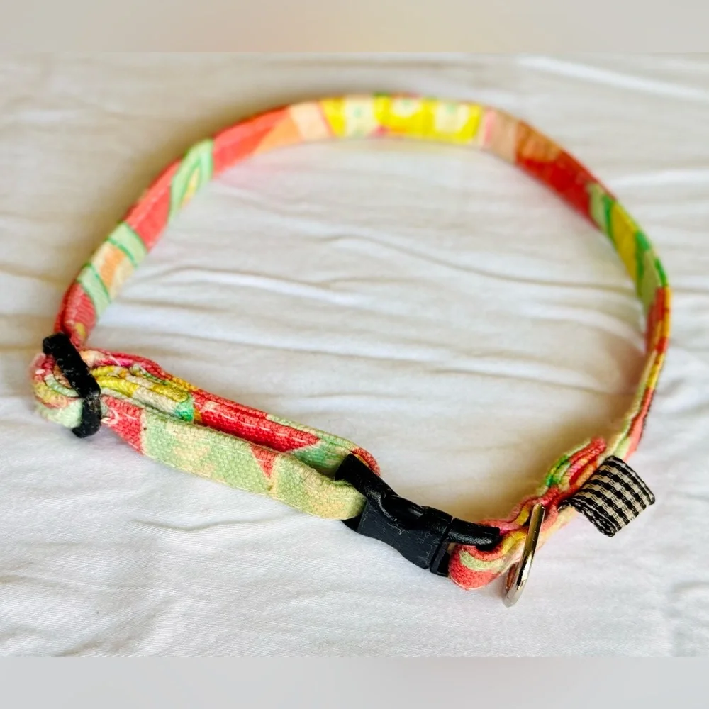 Pet Boutique Orange Yellow & Lime Green Retro Floral Fabric Skinny Dog Collar